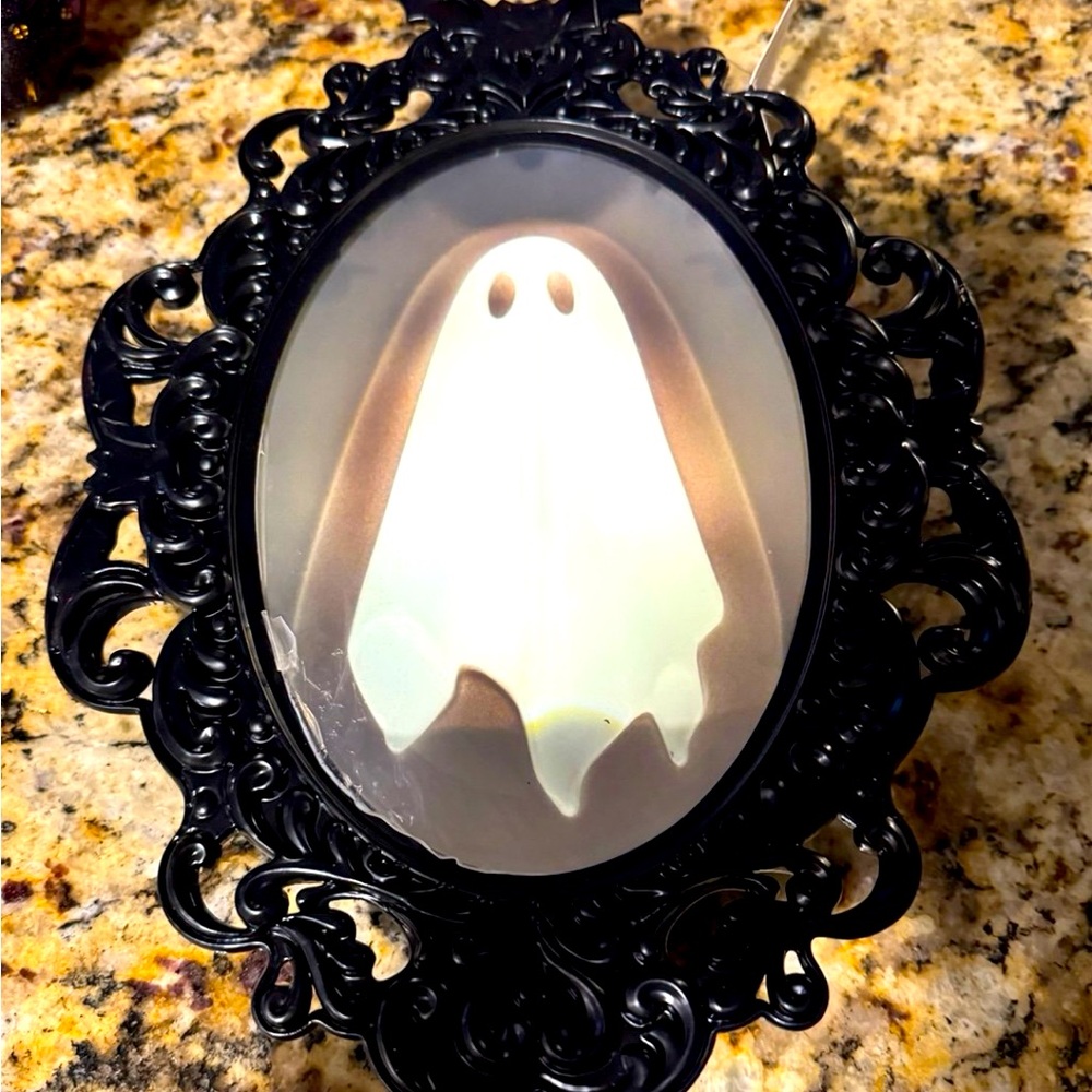 Viral dollar tree ghost mirror$40